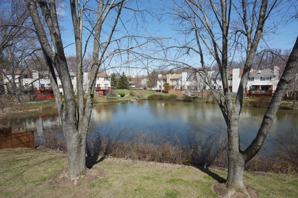7114 Captains Cove Court - Rear Exterior