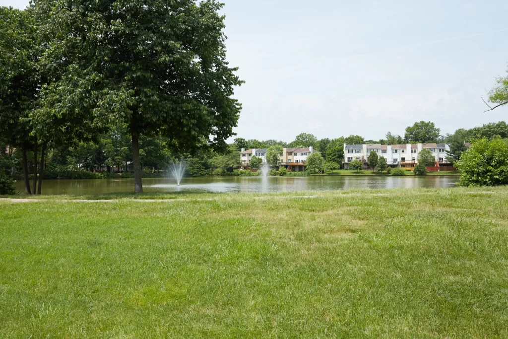 7184 Lake Cove Drive - Scenery